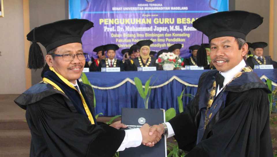 IMG_3394_compressed IMG_3394_compressed