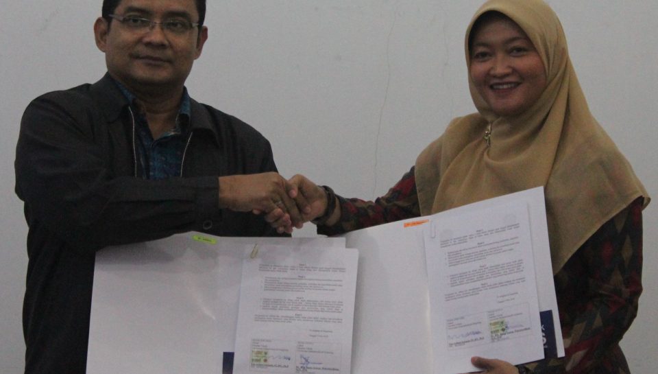 IMG_9136 crop IMG_9136 crop