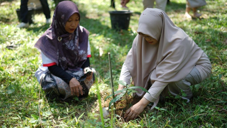 Rektor UNIMMA tanam bibit pohon